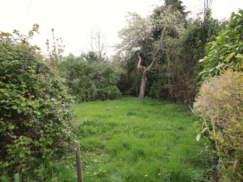 Images for Church Street, Kingsbury Episcopi, Martock